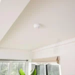 First Alert Dual Sensor Safety Alarm