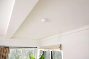 First Alert Dual Sensor Safety Alarm