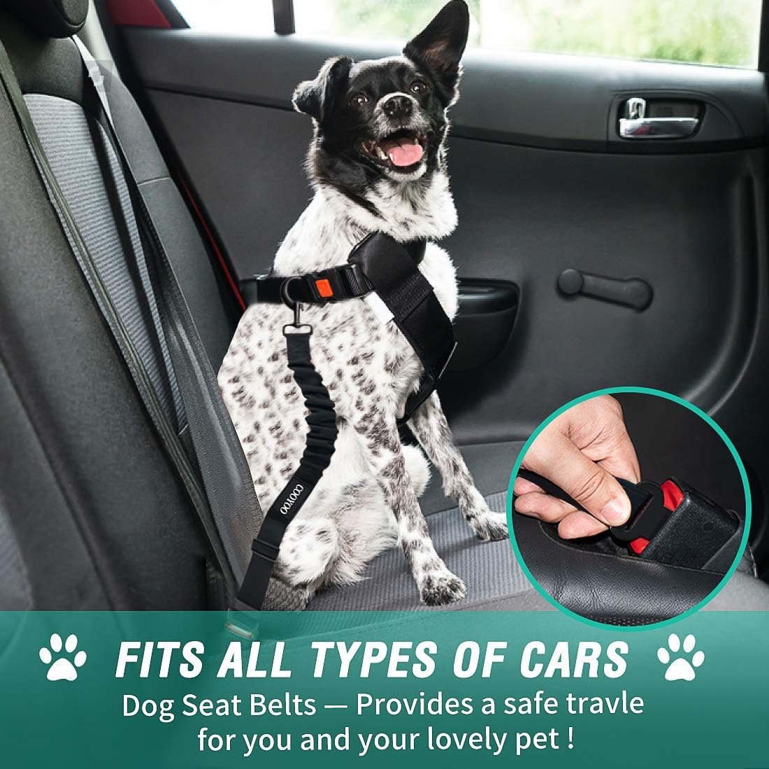 Retractable Dog Seat Belt